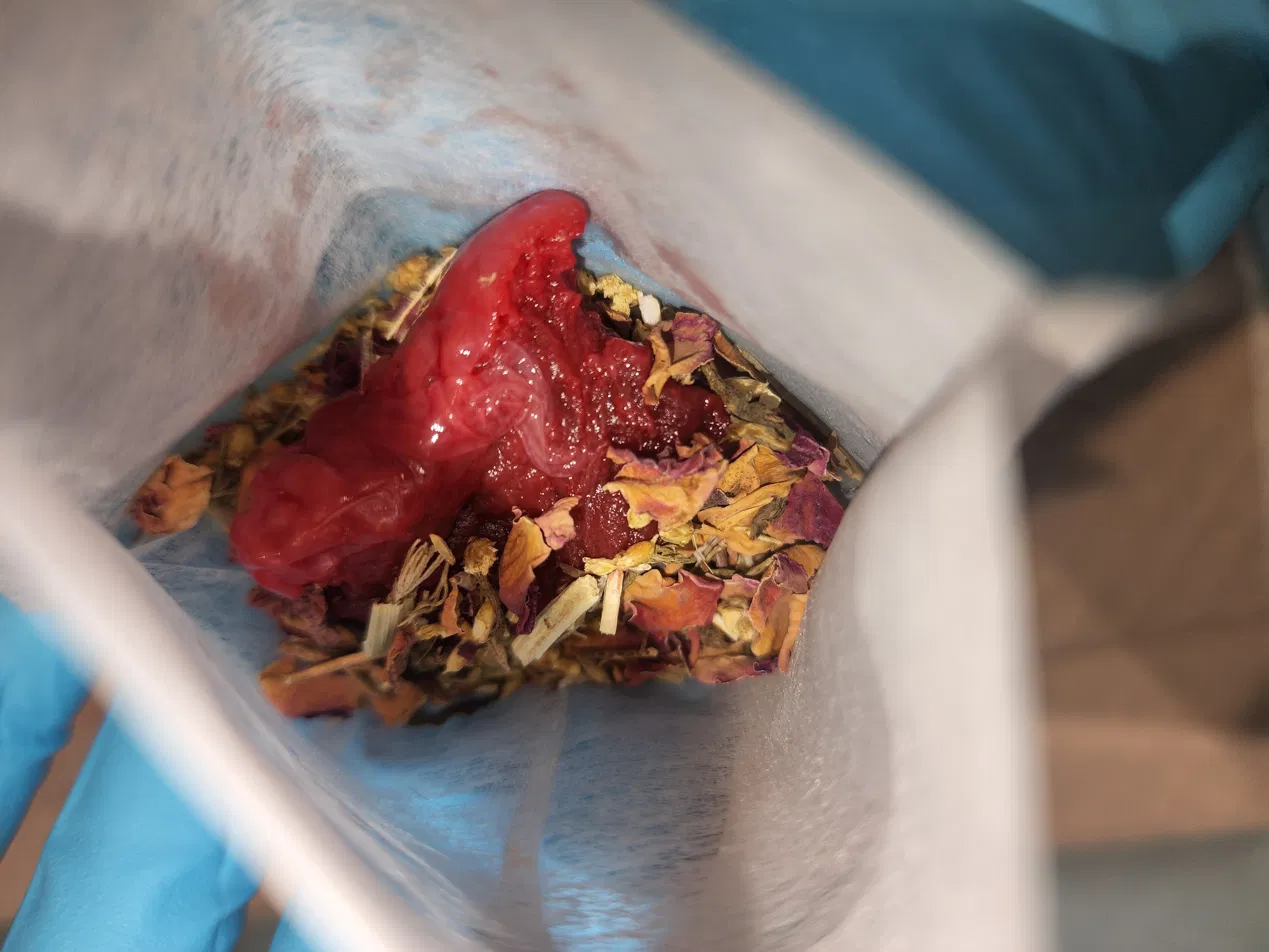 Placenta with dried herbs prepared for processing
